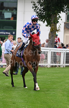 Gt_Yarm_19_Aug_Evening_Race-142