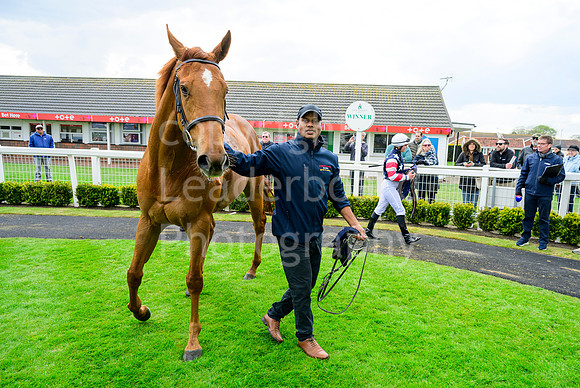 Winning_Groom_05