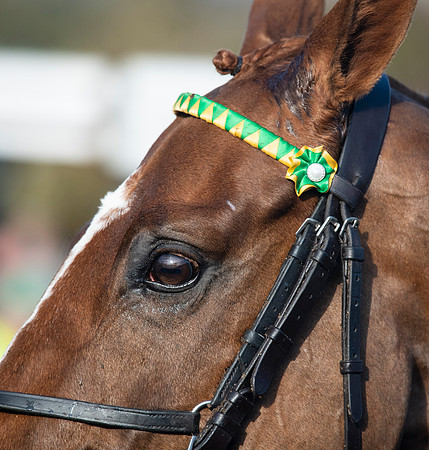 LB_Fakenham_31_18_0614