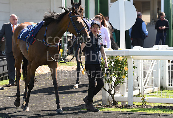 Gt_Yarm_Races_24_Aug_2021-87