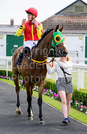 NZ9_2834