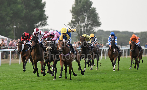 Gt_Yarm_19_Aug_Evening_Race-242