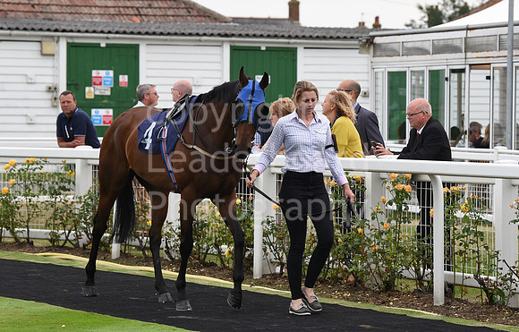 Yarm_Races_17July-43
