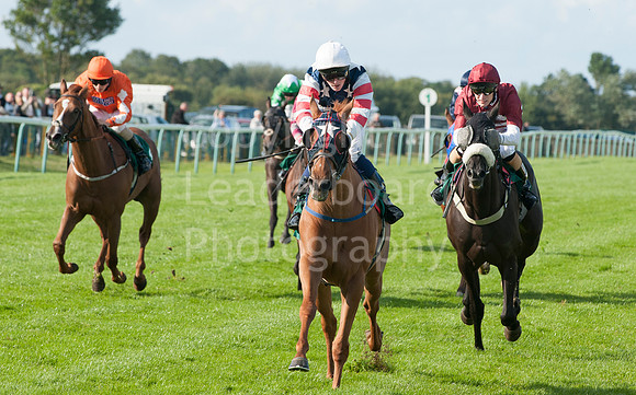 LB_GYR_Aug_19_2014__197