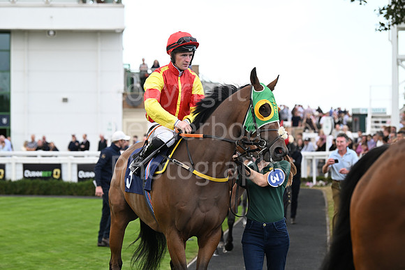 Gt_Yarm_24_Aug_2025-206