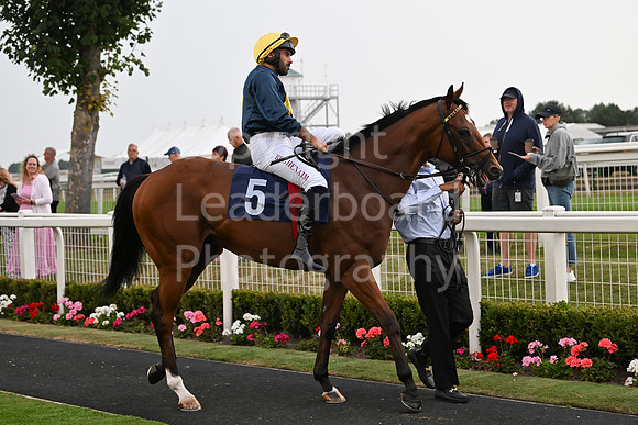 Gt_Yarm_19_Aug_Evening_Race-180