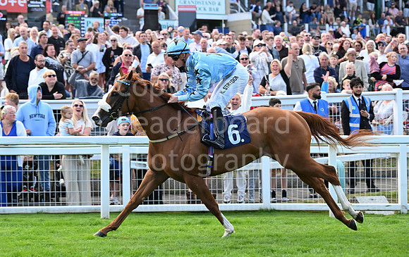 Gt_Yarm_24_Aug_2025-152