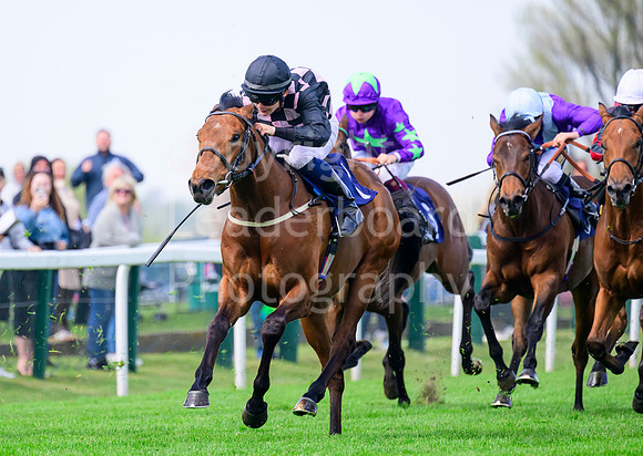 NZ9_3696