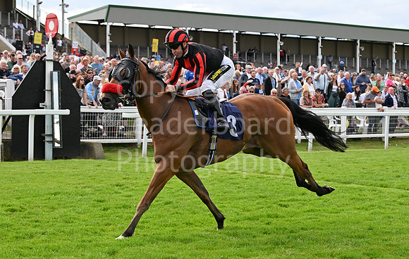 Gt_Yarm_Racing_June_28-314