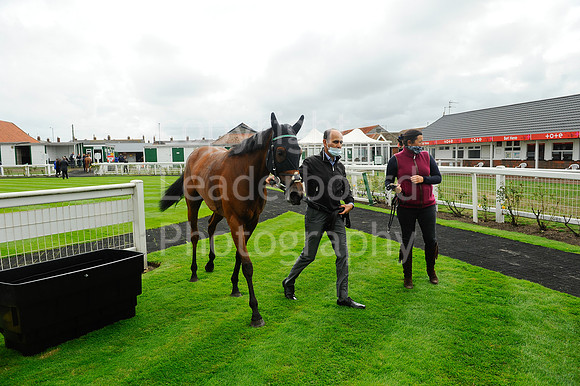 Gt_Yarmouth_Races_230Aug-200