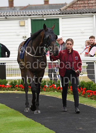 Gt_Yarm_30_June_2022-4