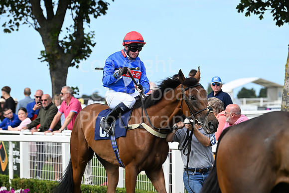 Gt_Yarm_28_July_2025-118
