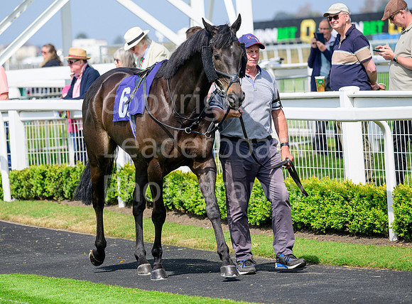 NZ9_5091
