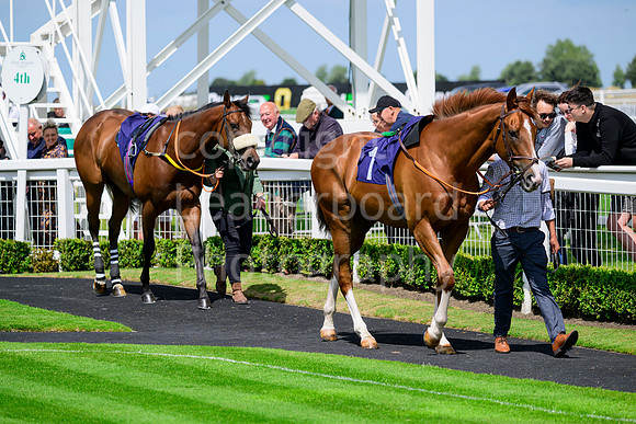 NZ9_3487