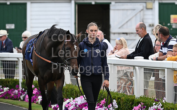 Gt_Yarm_24_Aug_2025-200