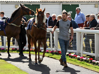 Gt_Yarm_Eastern_Fest_Day_2-1