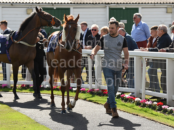 Gt_Yarm_Eastern_Fest_Day_2-1