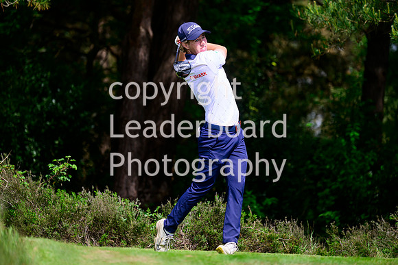 NZ9_5394