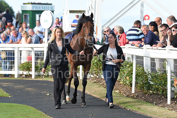 Gt_Yarm_Eastern_Fest_Day_2-201