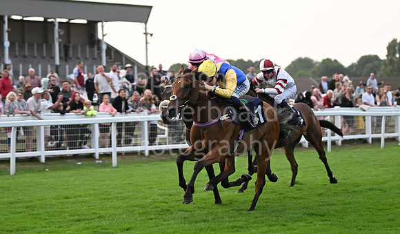 Gt_Yarm_19_Aug_Evening_Race-249