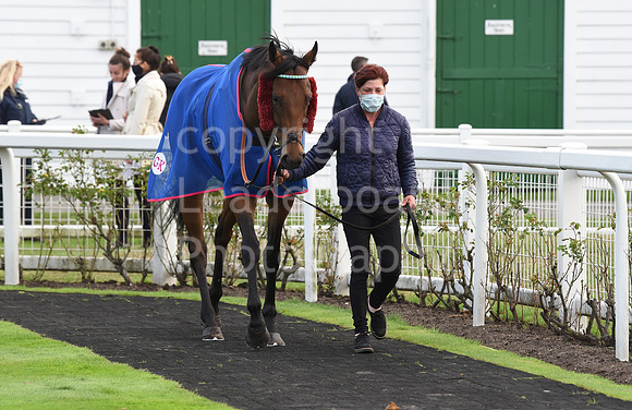Gt_Yarmouth_Races_230Aug-136