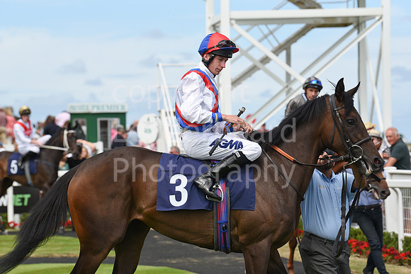Gt_Yarm_26_July_2022-10