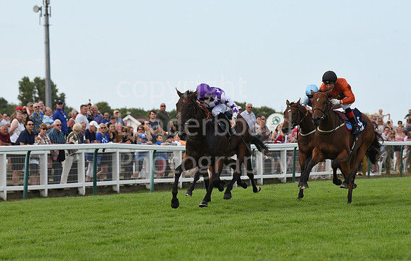 31_GY_Racing_8_Aug