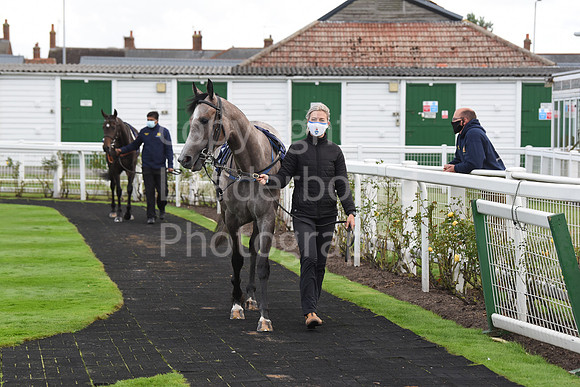Gt_Yarmouth_Races_230Aug-175