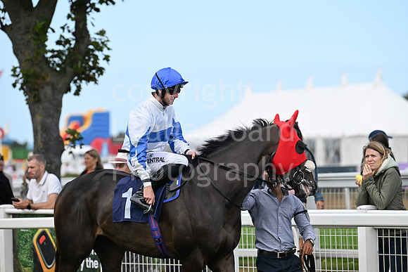 Gt_Yarm_24_Aug_2025-165