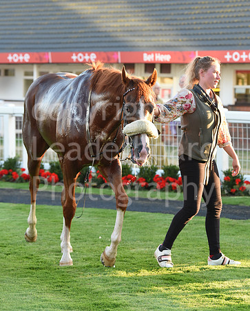 Gt_Yarm_3_Aug_2022-188