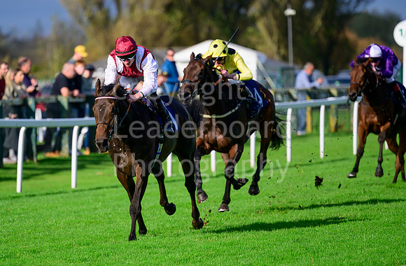 NZ9_5037