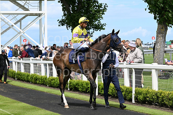 Gt_Yarm_May_27-14