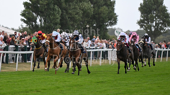 Gt_Yarm_24_Aug_2025-223