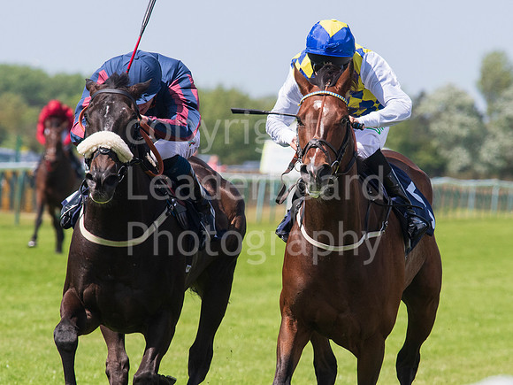 LB_GYR_140618_0224