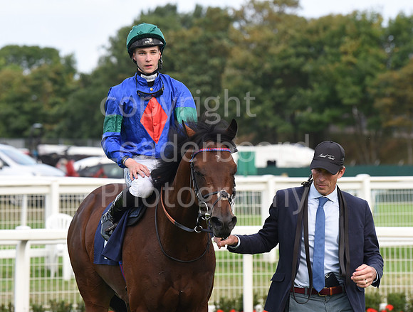 Gt_Yarm_14_Sept_2022-191