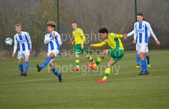 NB_027_NCFC_U18_Brighton