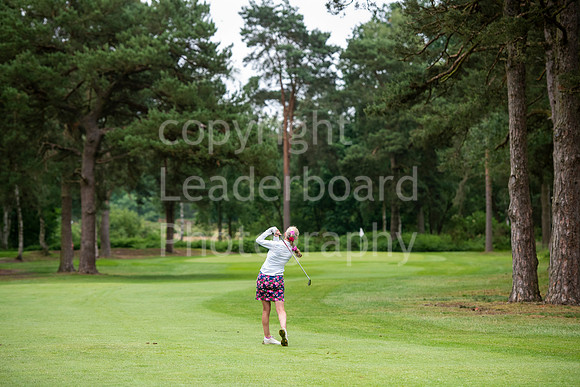 LBP_0449