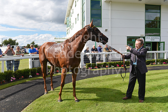 Gt_Yarm_Racing_July_10_-242