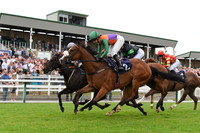 Yarm_Races_17July-13
