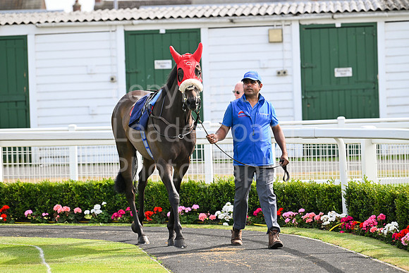 Gt_Yarm_Aug_8_2024-112