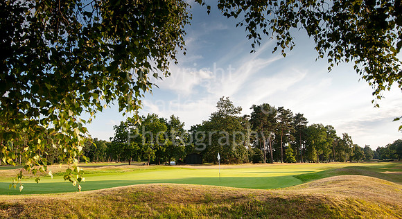 NB_Reid_Trophy_2013
