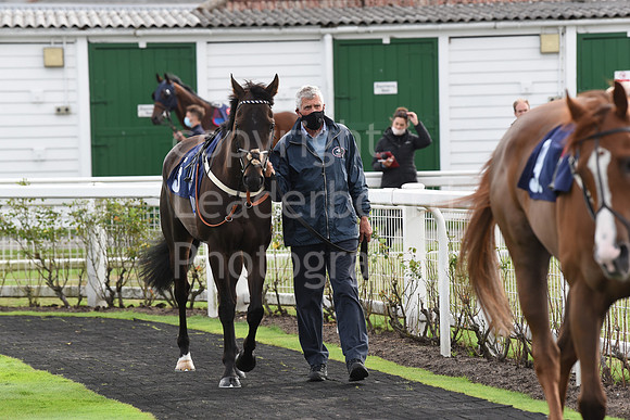 Gt_Yarmouth_Races_230Aug-52