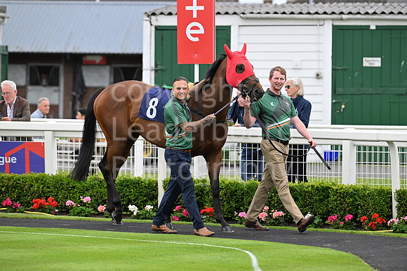 Gt_Yarm_July25_Racing_League_2024-66