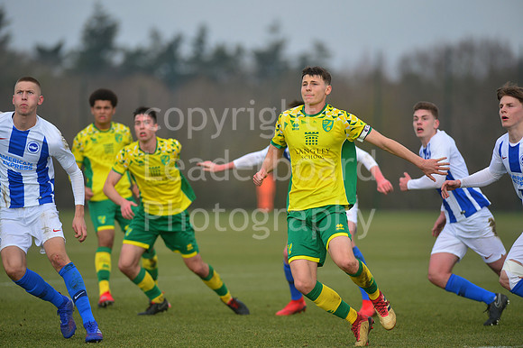 NB_046_NCFC_U18_Brighton