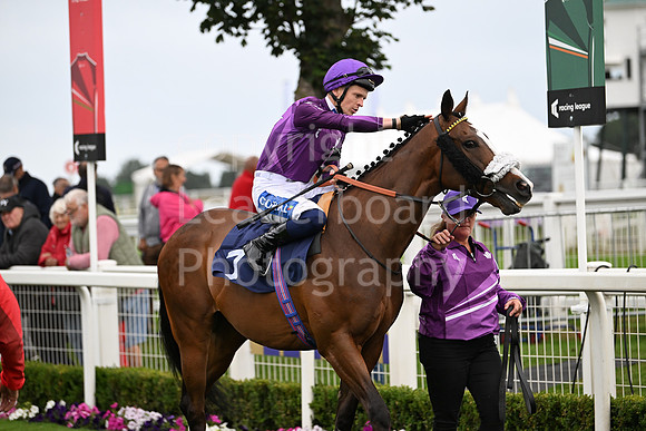 Gt_Yarm_Ladies Night_2025-126
