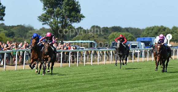 Gt_Yarm_Races_10_Aug_2022-43