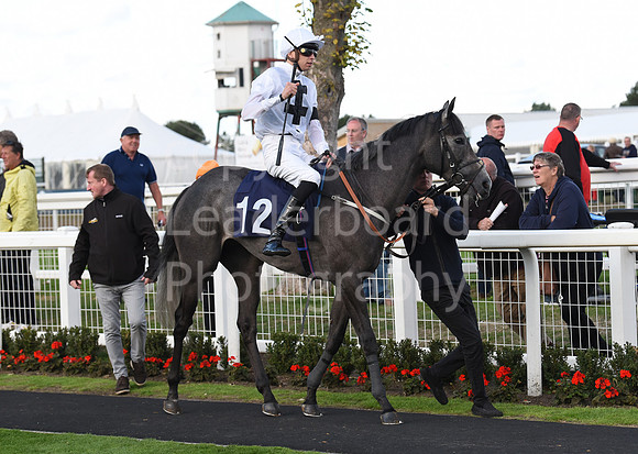 Gt_Yarm_15_Sept_2022-218