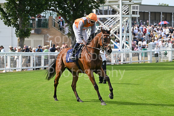 Gt_Yarm_Residents_Day_June_27-133