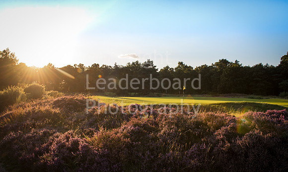 LB_019_Woodhall_Spa_Course