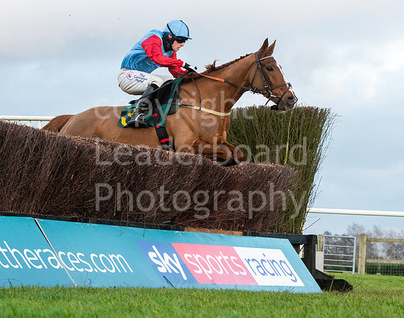Race 5 winner